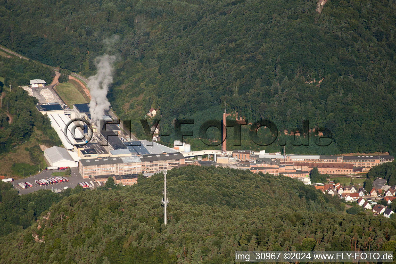 Kartonfabrik Buchmann GmbH in the district Sarnstall in Annweiler am Trifels in the state Rhineland-Palatinate, Germany