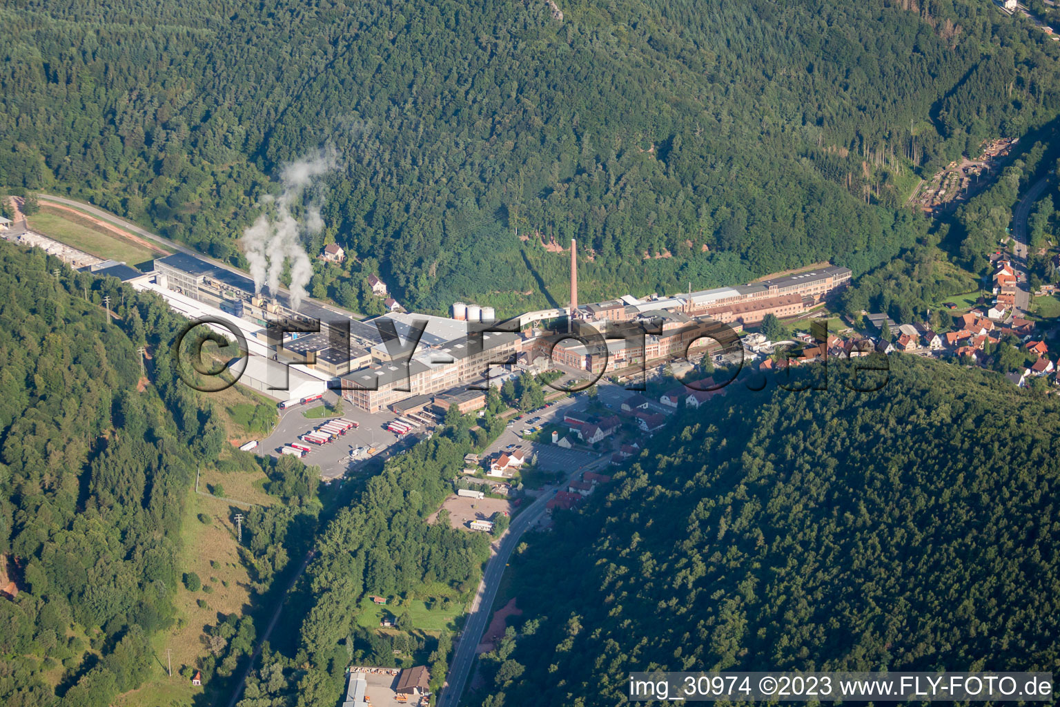 Oblique view of Cardboard factory Buchmann GmbH in the district Sarnstall in Annweiler am Trifels in the state Rhineland-Palatinate, Germany