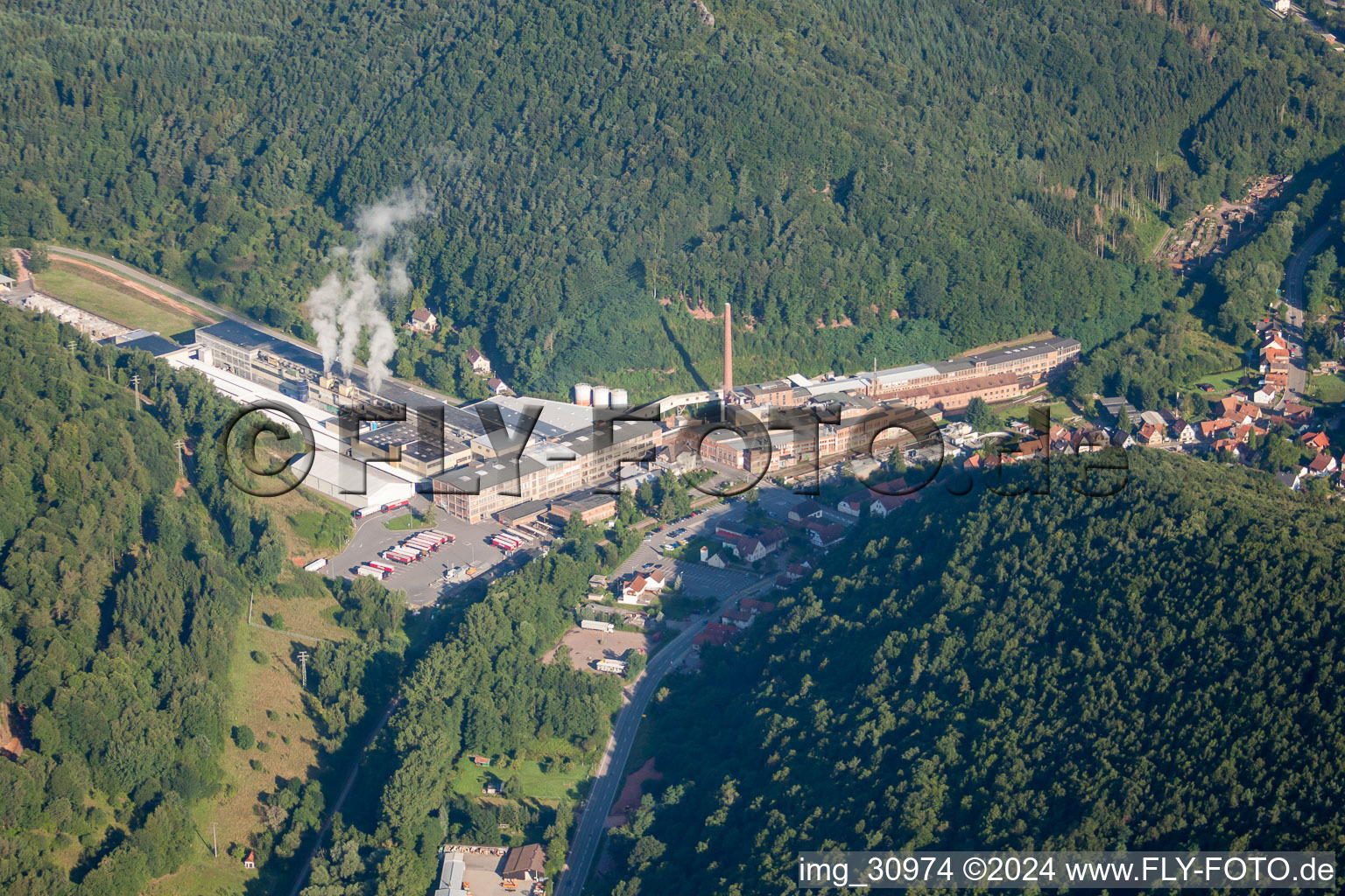 Oblique view of Kartonfabrik Buchmann GmbH in the district Sarnstall in Annweiler am Trifels in the state Rhineland-Palatinate, Germany