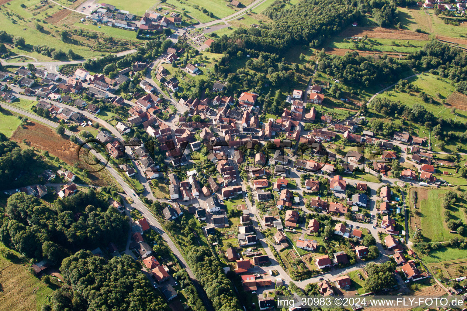 (Palatinate) in Völkersweiler in the state Rhineland-Palatinate, Germany