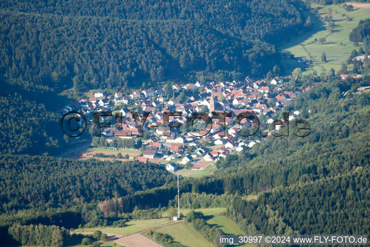 From the north in Vorderweidenthal in the state Rhineland-Palatinate, Germany