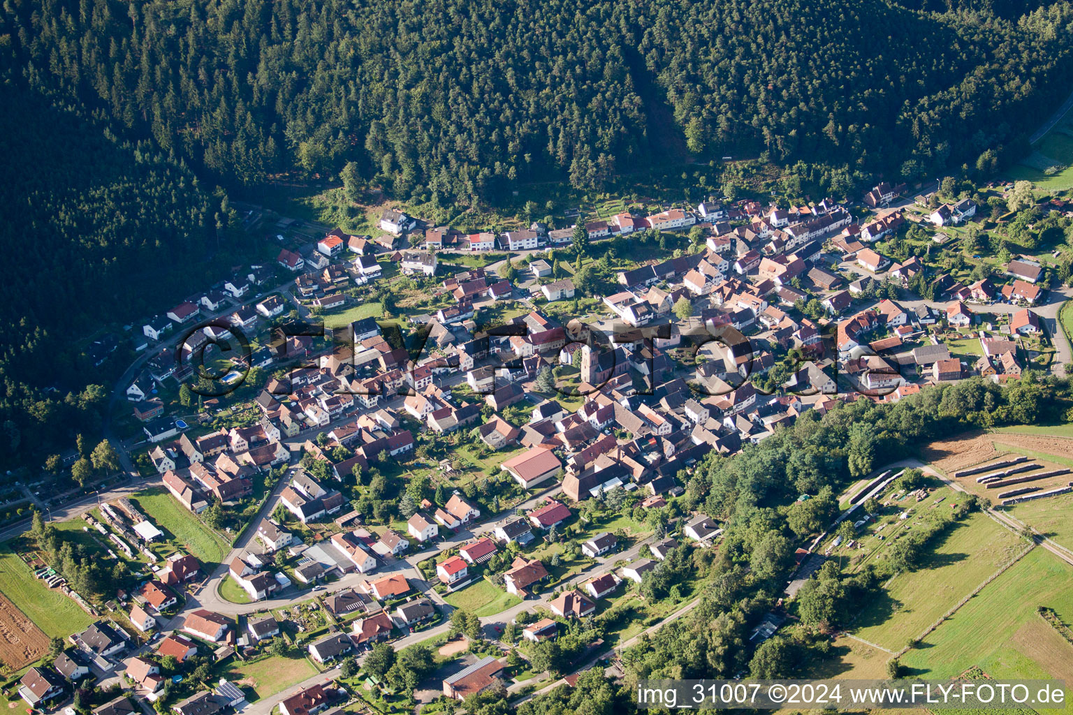 Vorderweidenthal in the state Rhineland-Palatinate, Germany seen from above