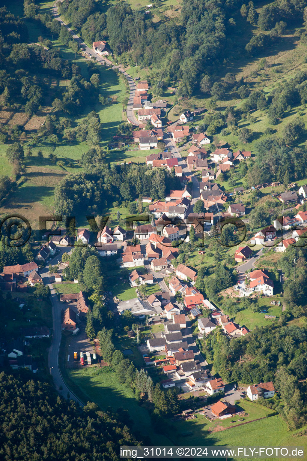 Erlenbach in Vorderweidenthal in the state Rhineland-Palatinate, Germany