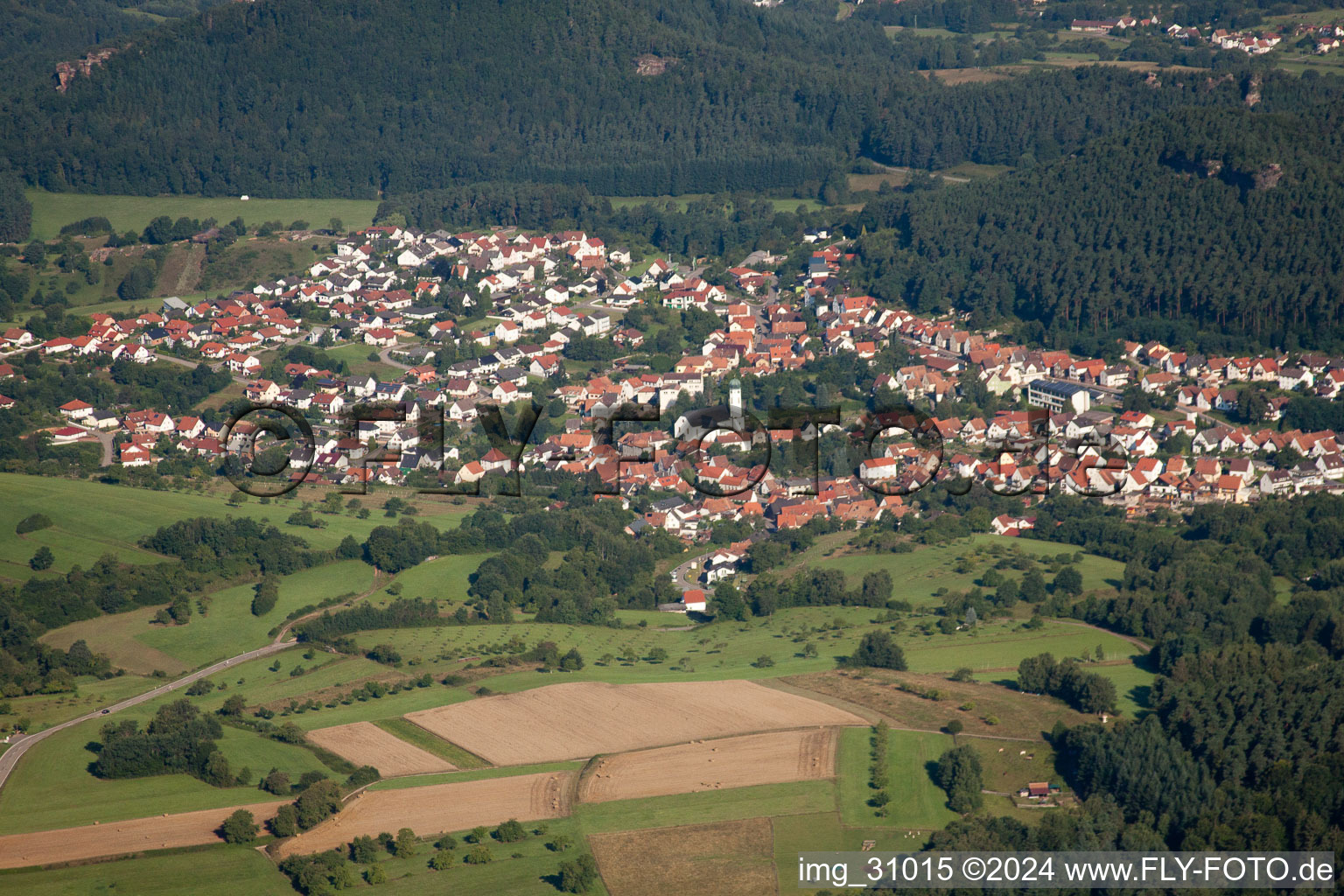 Aerial view of Busenberg in the state Rhineland-Palatinate, Germany