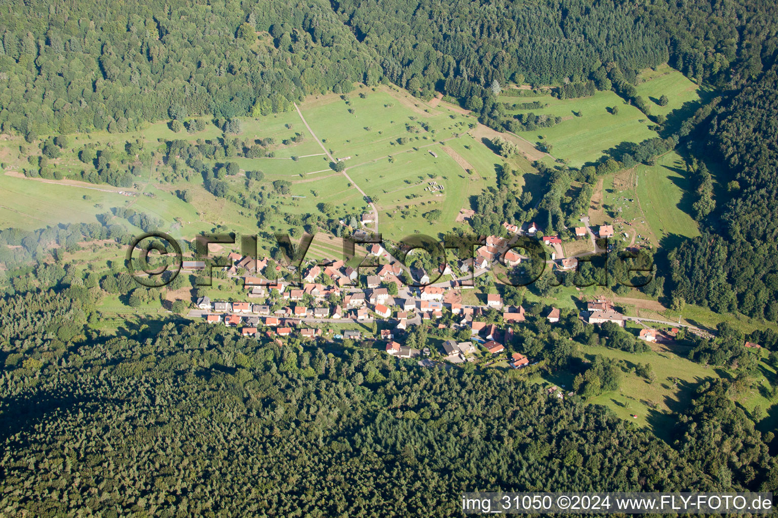 Bird's eye view of Nothweiler in the state Rhineland-Palatinate, Germany