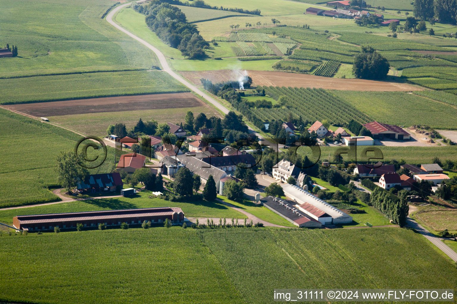 Steinseltz in the state Bas-Rhin, France seen from a drone