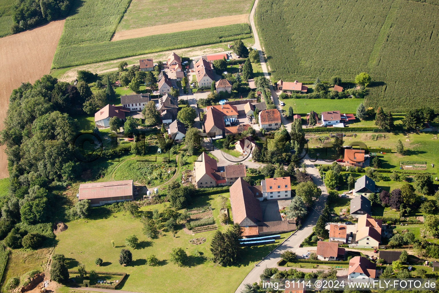 Aerial view of Geisberg in Wissembourg in the state Bas-Rhin, France