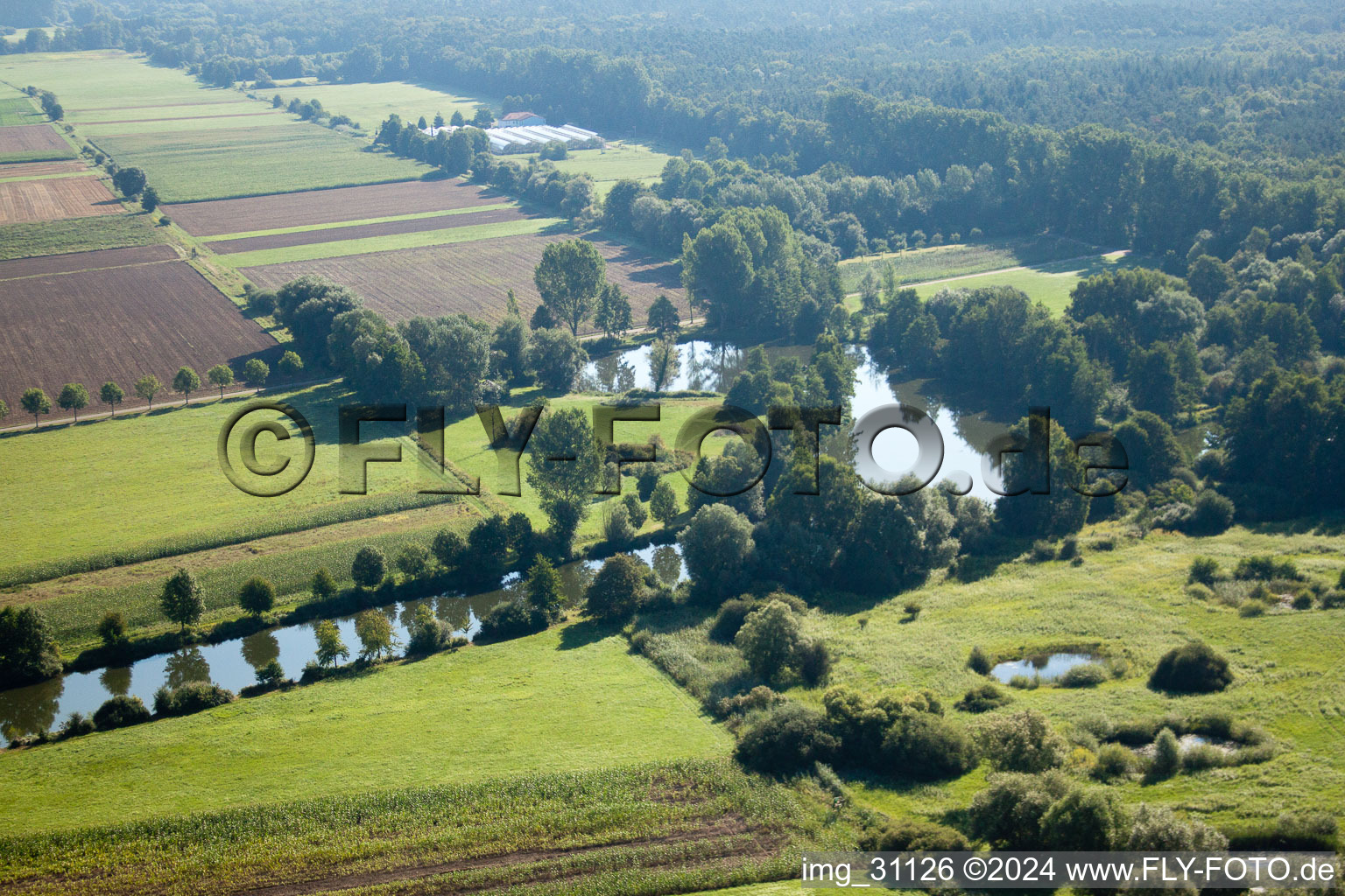 Bird's eye view of Steinfeld in the state Rhineland-Palatinate, Germany