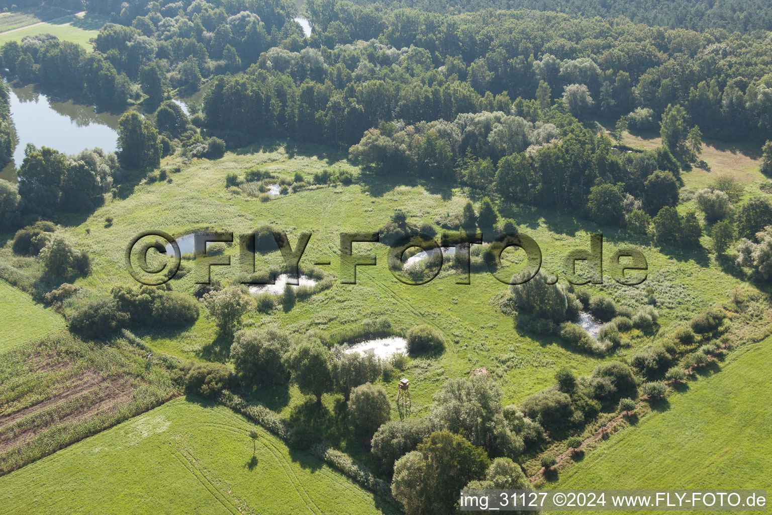 Biotop in Steinfeld in the state Rhineland-Palatinate, Germany