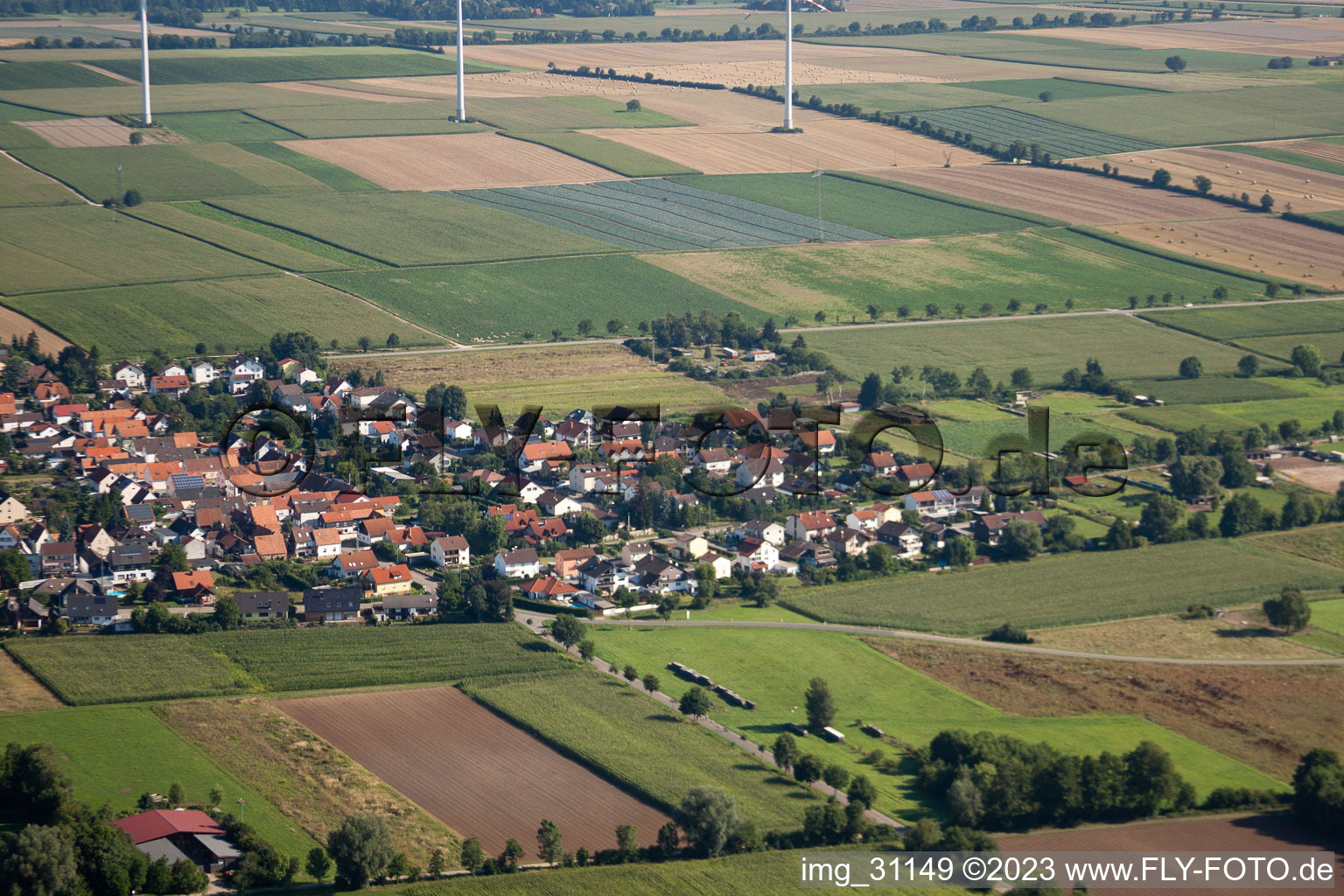 Oblique view of From the south in Minfeld in the state Rhineland-Palatinate, Germany