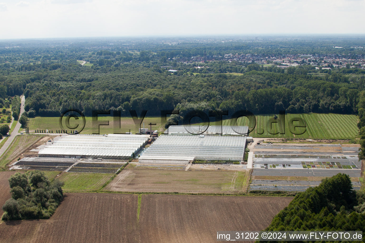 Reiss Horticulture in Malsch in the state Baden-Wuerttemberg, Germany