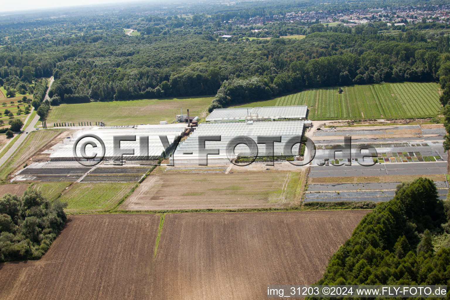 Aerial view of Reiss Horticulture in Malsch in the state Baden-Wuerttemberg, Germany