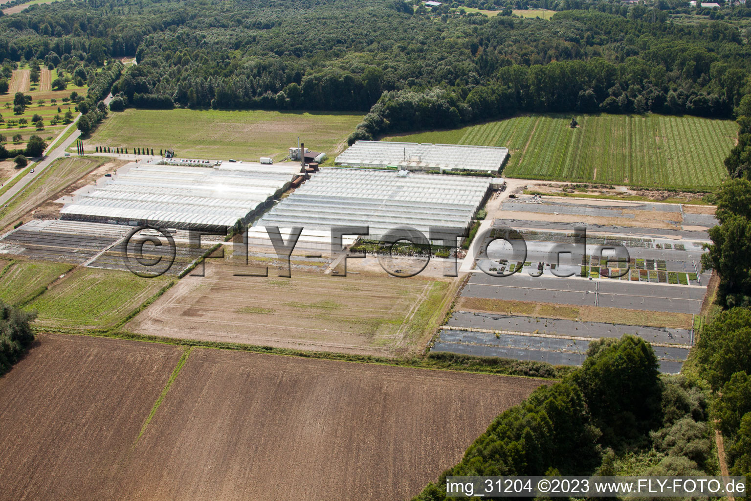 Aerial photograpy of Reiss Horticulture in Malsch in the state Baden-Wuerttemberg, Germany