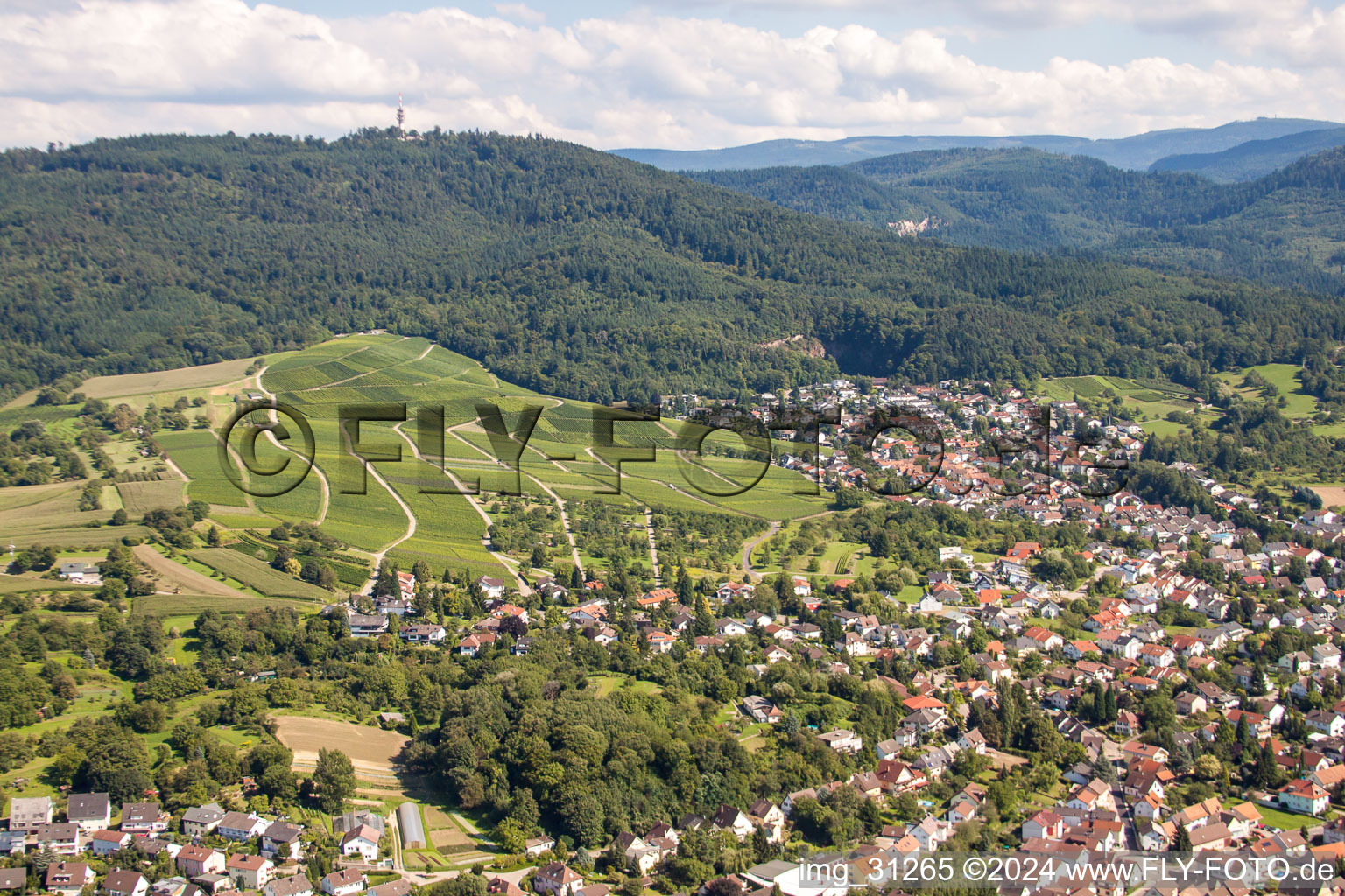 Vormberg in Sinzheim in the state Baden-Wuerttemberg, Germany