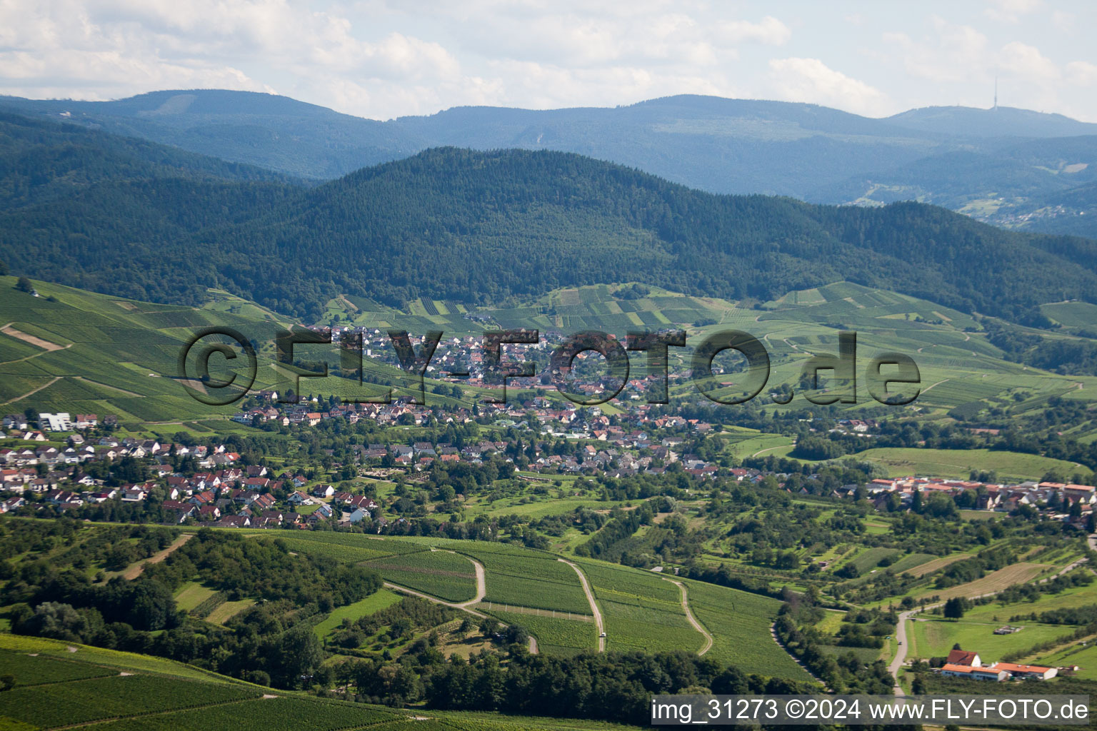 Varnhalt, Neuweier in the district Steinbach in Baden-Baden in the state Baden-Wuerttemberg, Germany