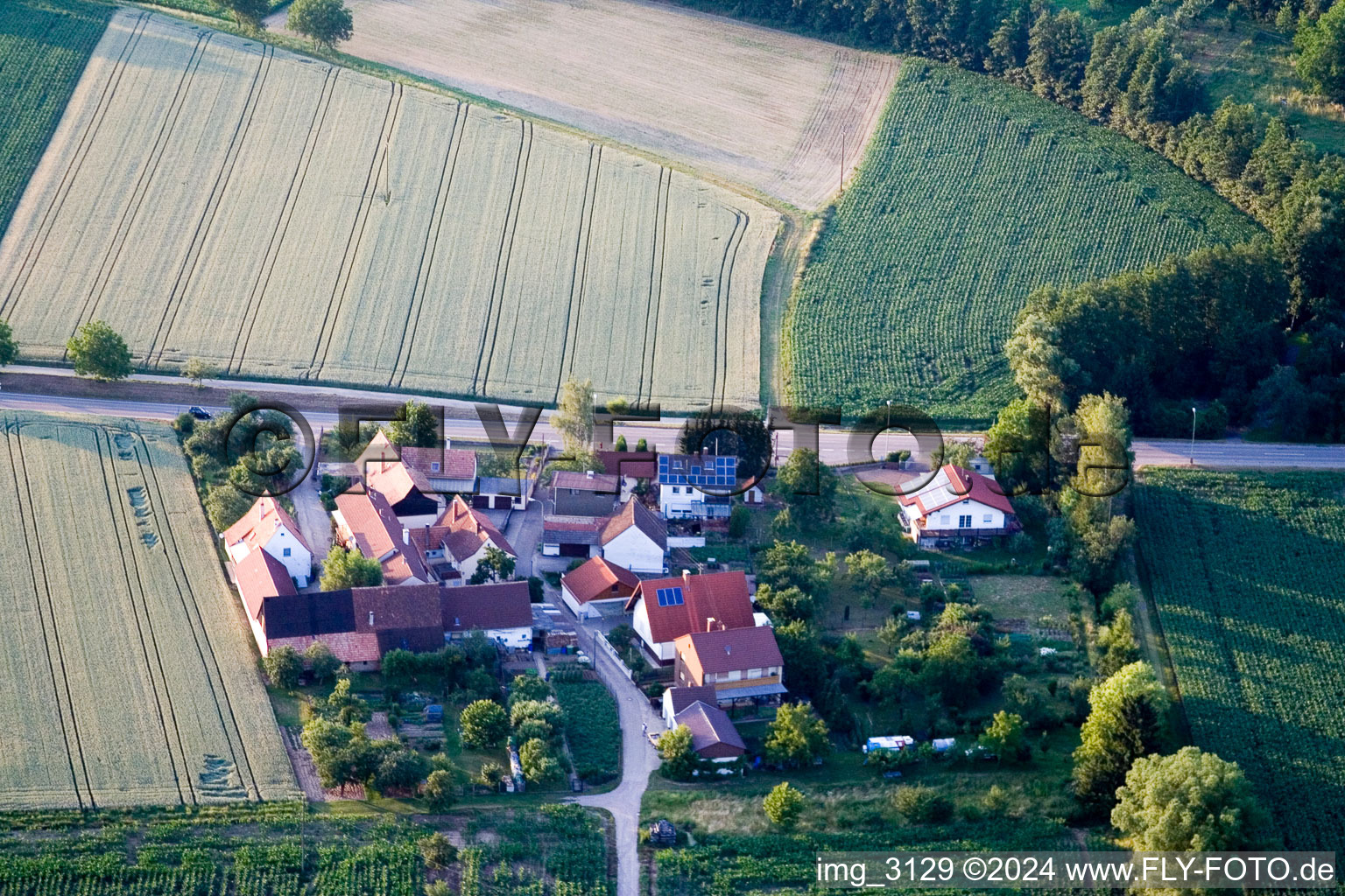 Welschhof in Minfeld in the state Rhineland-Palatinate, Germany