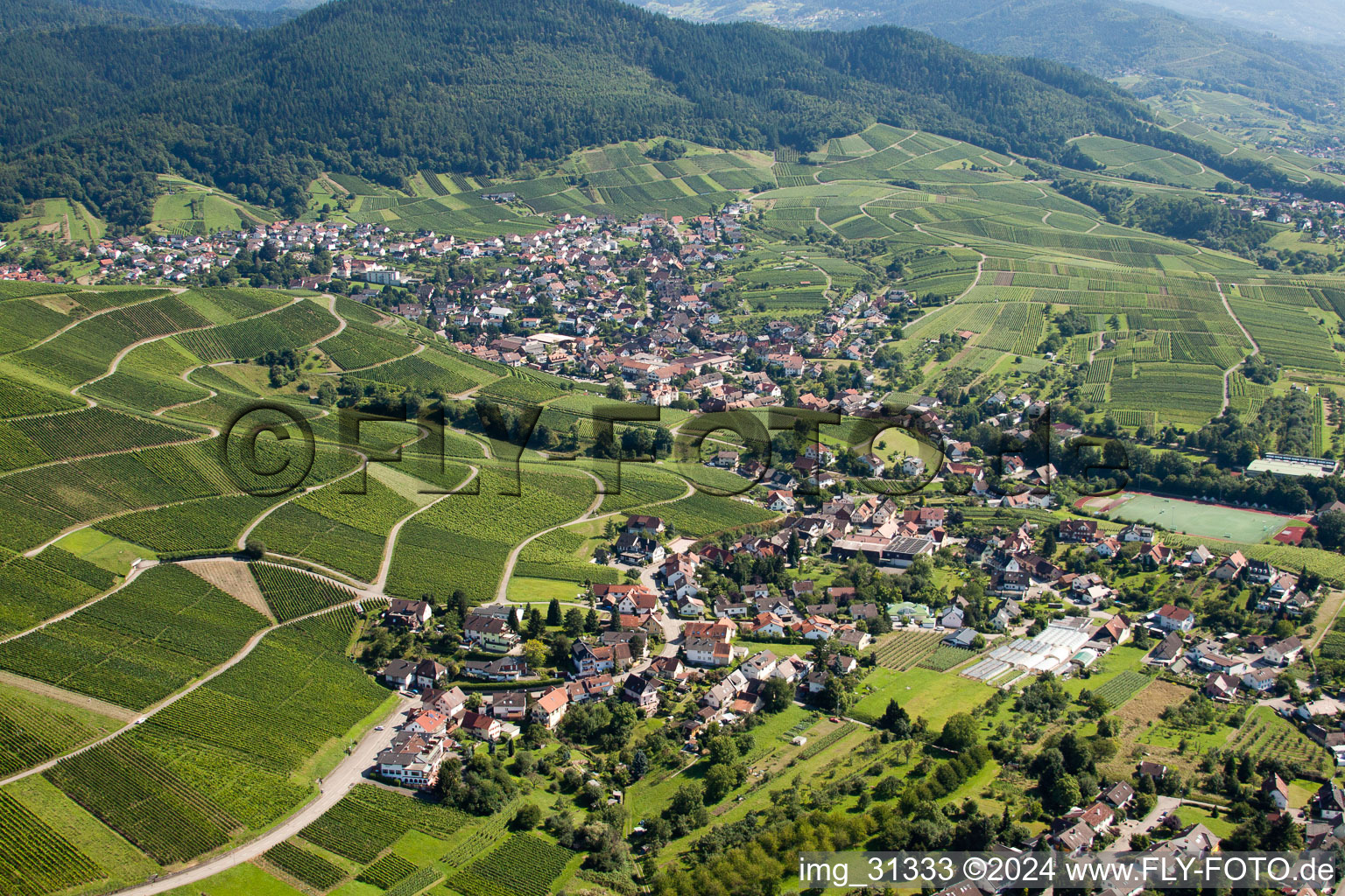 District Neuweier in Baden-Baden in the state Baden-Wuerttemberg, Germany out of the air