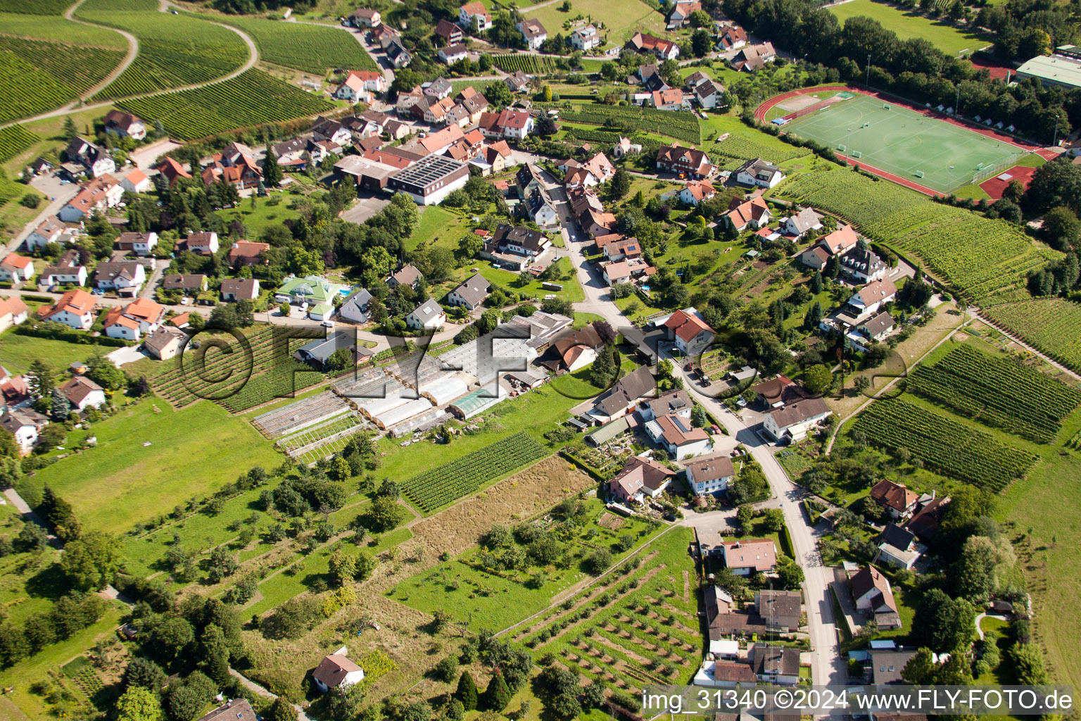 District Steinbach in Baden-Baden in the state Baden-Wuerttemberg, Germany seen from above