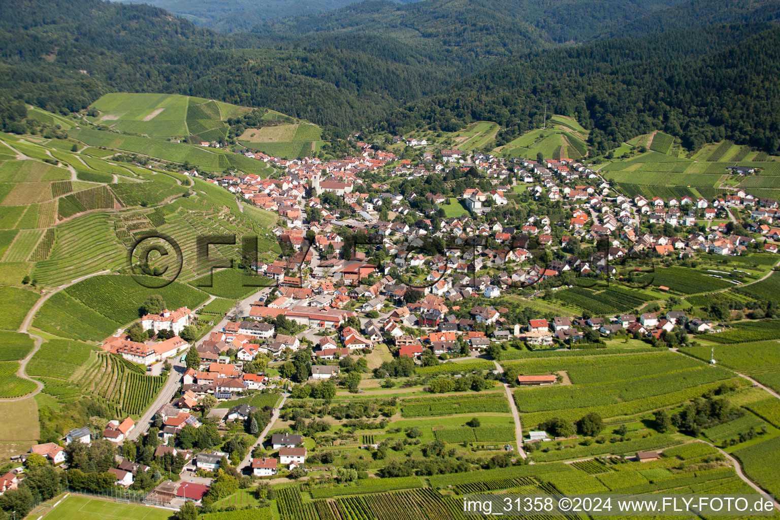 From the west in the district Neuweier in Baden-Baden in the state Baden-Wuerttemberg, Germany