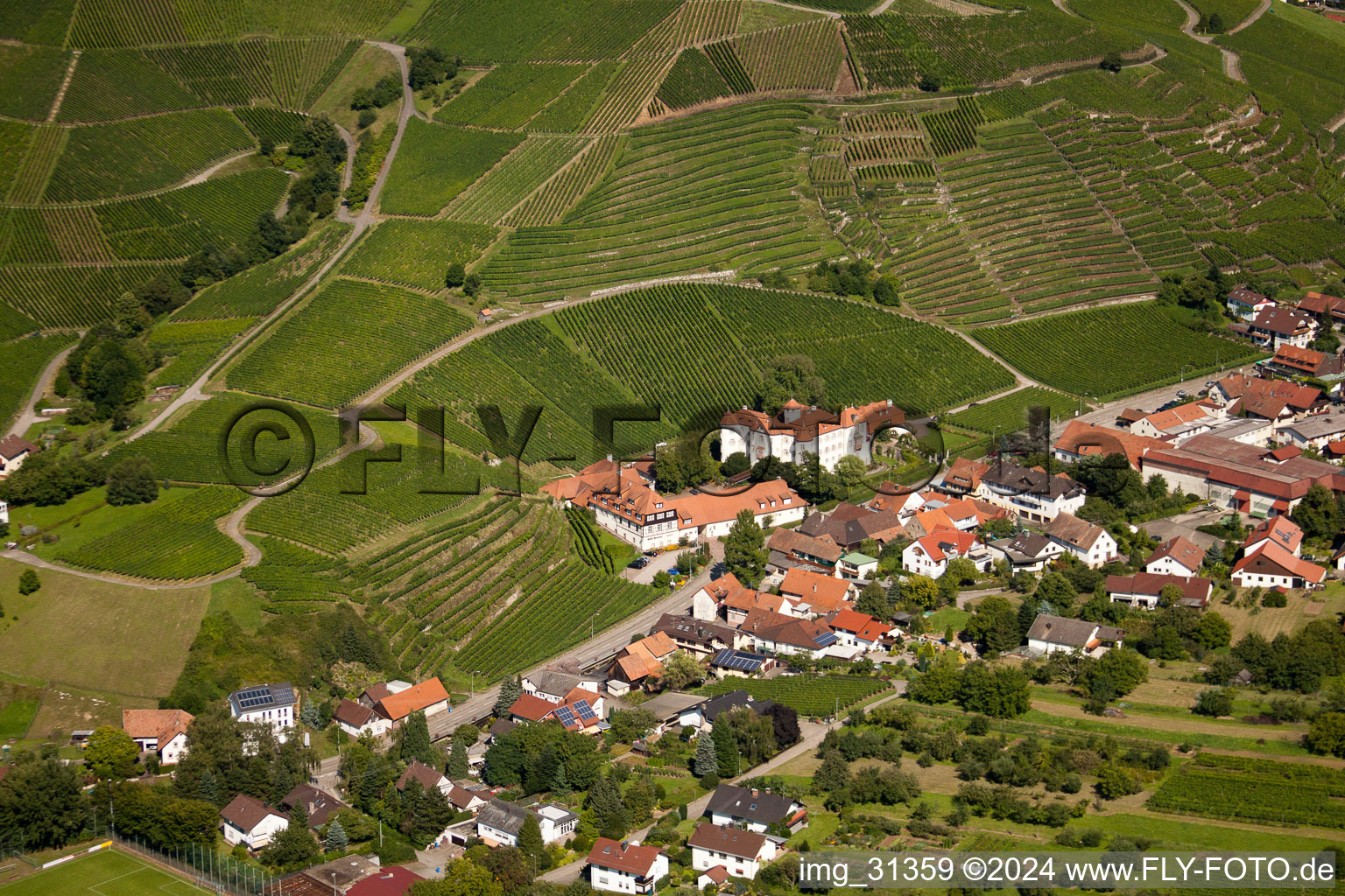 Aerial view of Neuweir Castle in the district Neuweier in Baden-Baden in the state Baden-Wuerttemberg, Germany