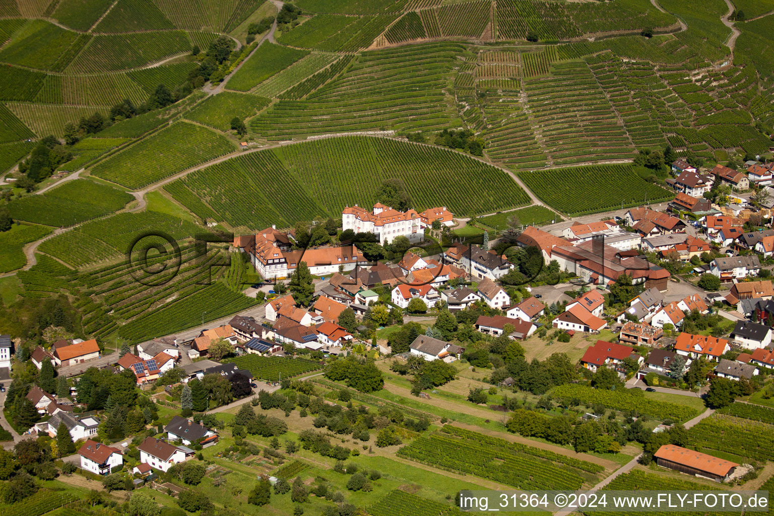 Aerial photograpy of Neuweir Castle in the district Neuweier in Baden-Baden in the state Baden-Wuerttemberg, Germany