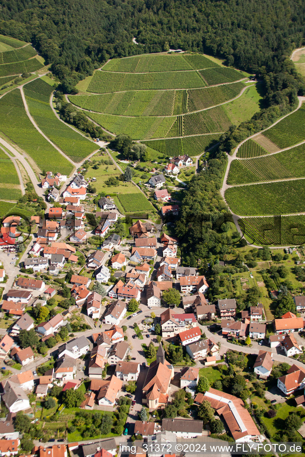 Village - view on the edge of wine yards and forest in the district Eisental in Buehl in the state Baden-Wurttemberg