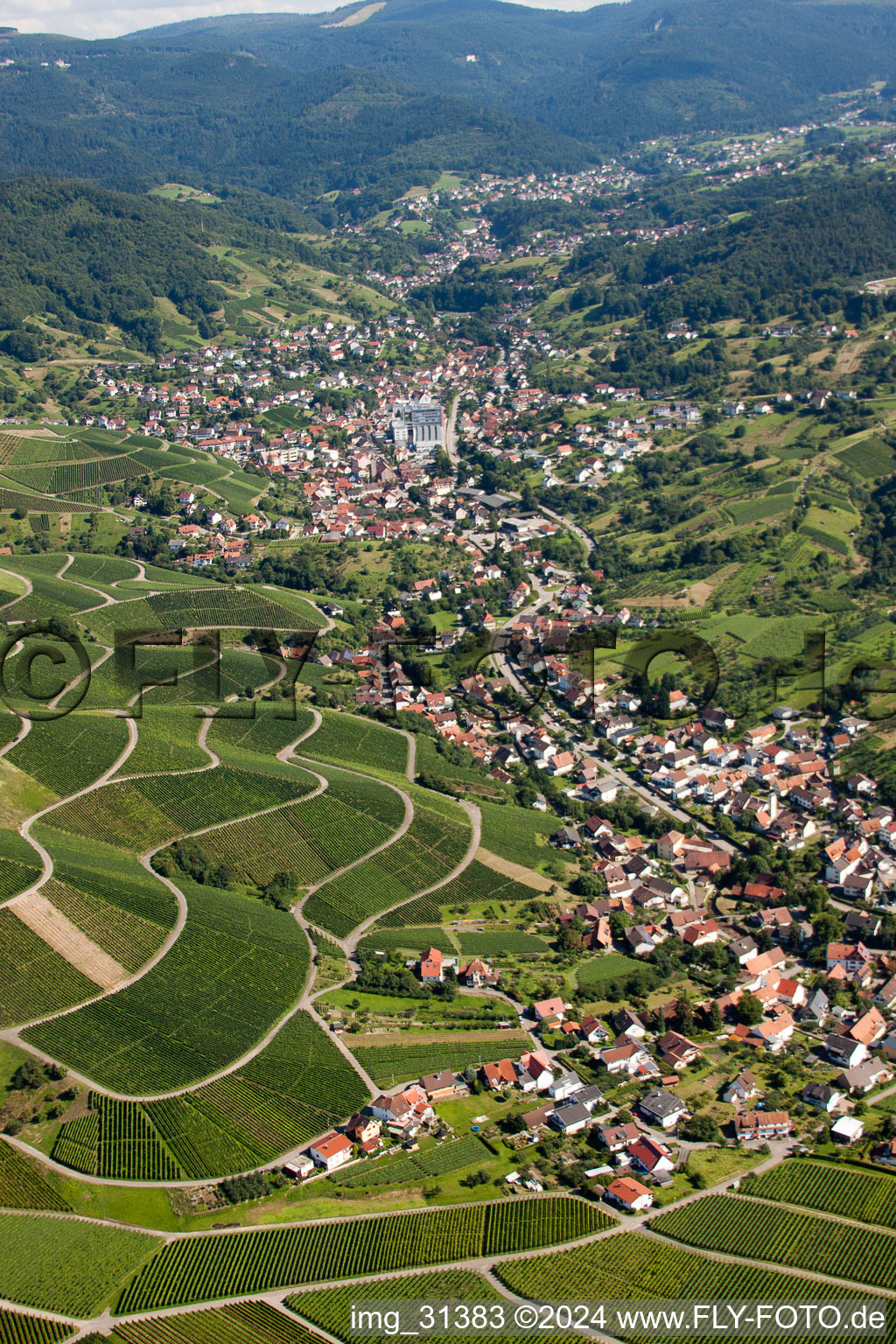 Panorama of the town area and the surrounding area in the district Untertal in Bühlertal in the state Baden-Wuerttemberg, Germany