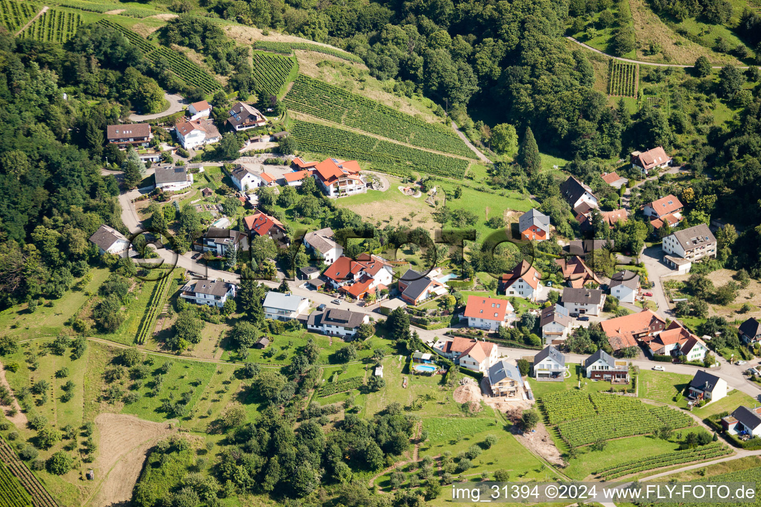 On the wine trail in the district Altschweier in Bühl in the state Baden-Wuerttemberg, Germany