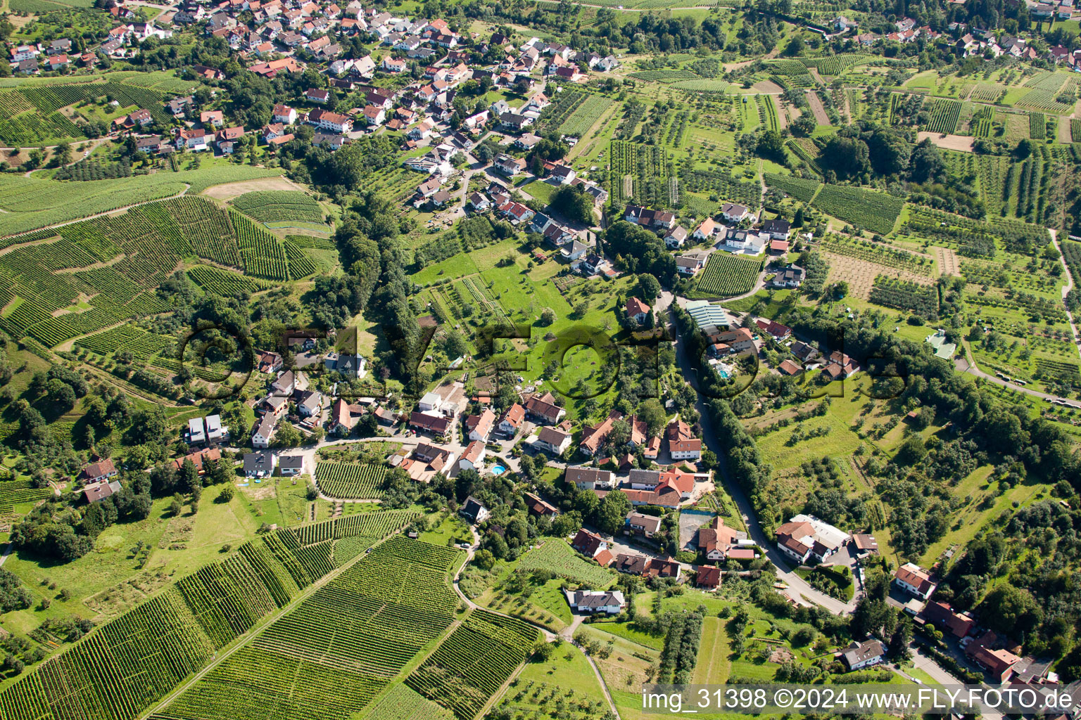 Town View of the streets and houses of the residential areas in Buehl in the state Baden-Wurttemberg