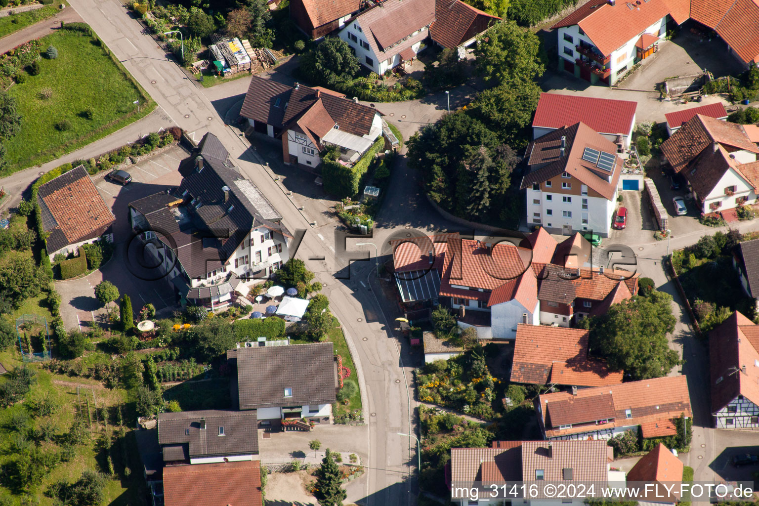 Kappelwindeck, Rebstock in the district Riegel in Bühl in the state Baden-Wuerttemberg, Germany