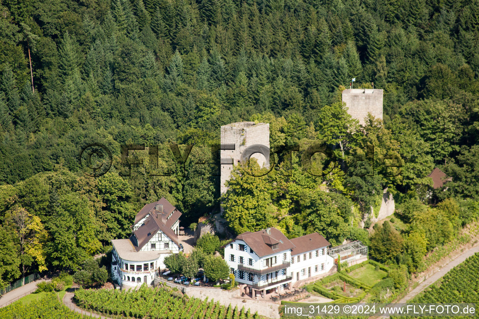 Aerial view of Windeck Castle in the district Riegel in Bühl in the state Baden-Wuerttemberg, Germany