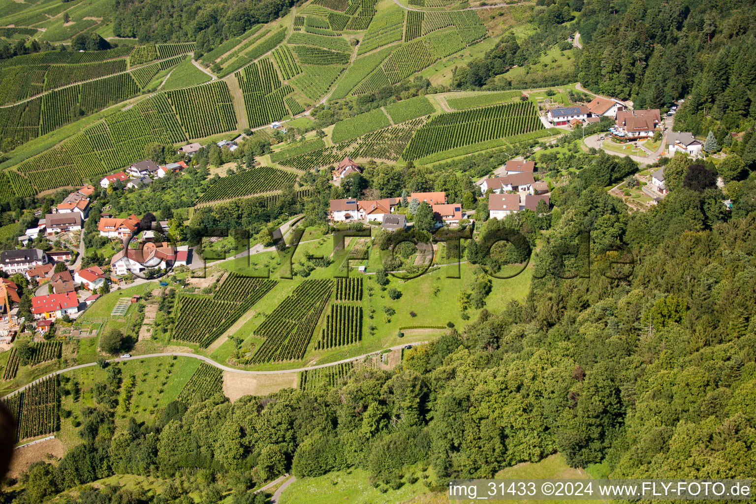 Bergfriedenweg in the district Riegel in Bühl in the state Baden-Wuerttemberg, Germany