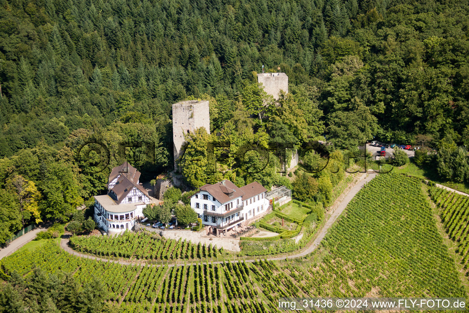 Aerial photograpy of Windeck Castle in the district Riegel in Bühl in the state Baden-Wuerttemberg, Germany