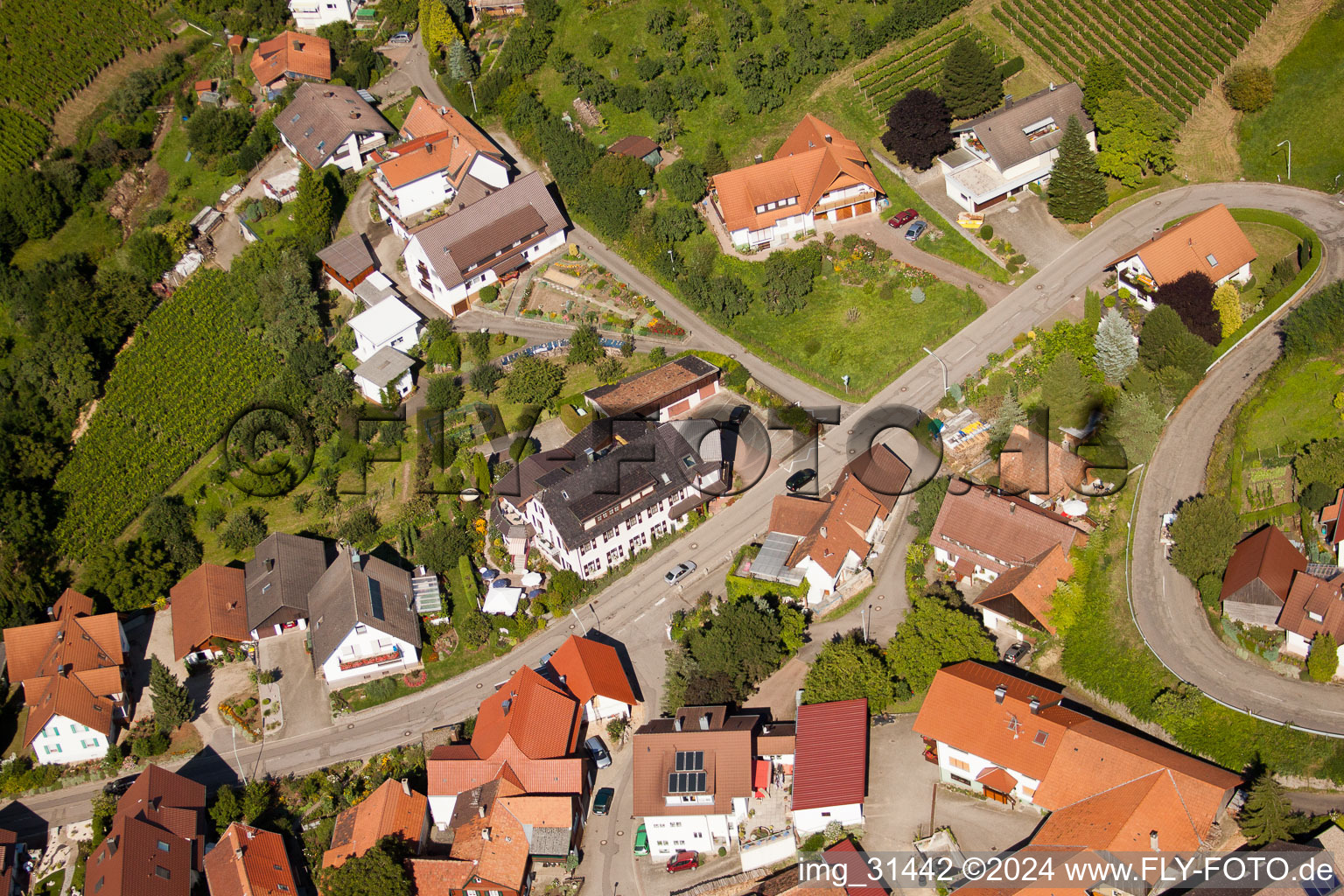 Aerial photograpy of Hotel Restaurant Rebstock in the district Riegel in Bühl in the state Baden-Wuerttemberg, Germany