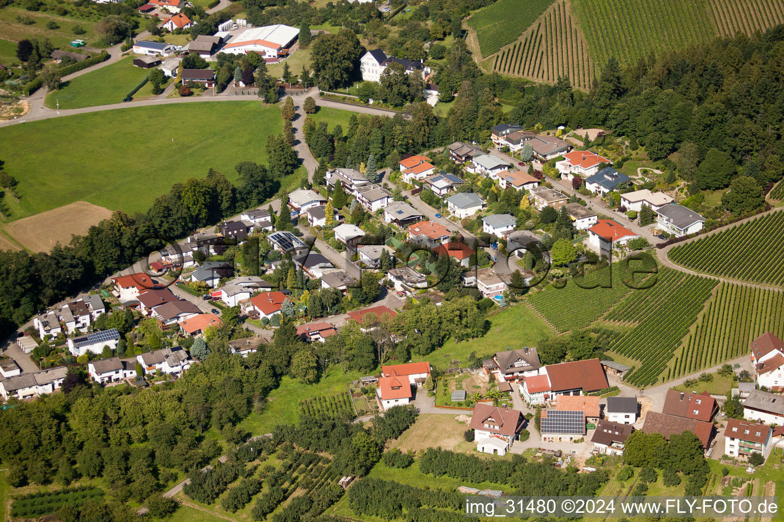 Aerial view of Kammersbrunn, sports field in Sasbach in the state Baden-Wuerttemberg, Germany