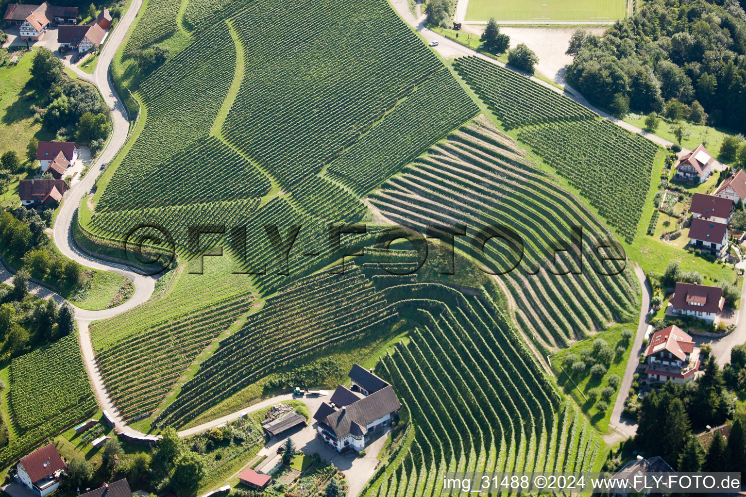 Vineyards at Bernhardshöfe in Kappelrodeck in the state Baden-Wuerttemberg, Germany