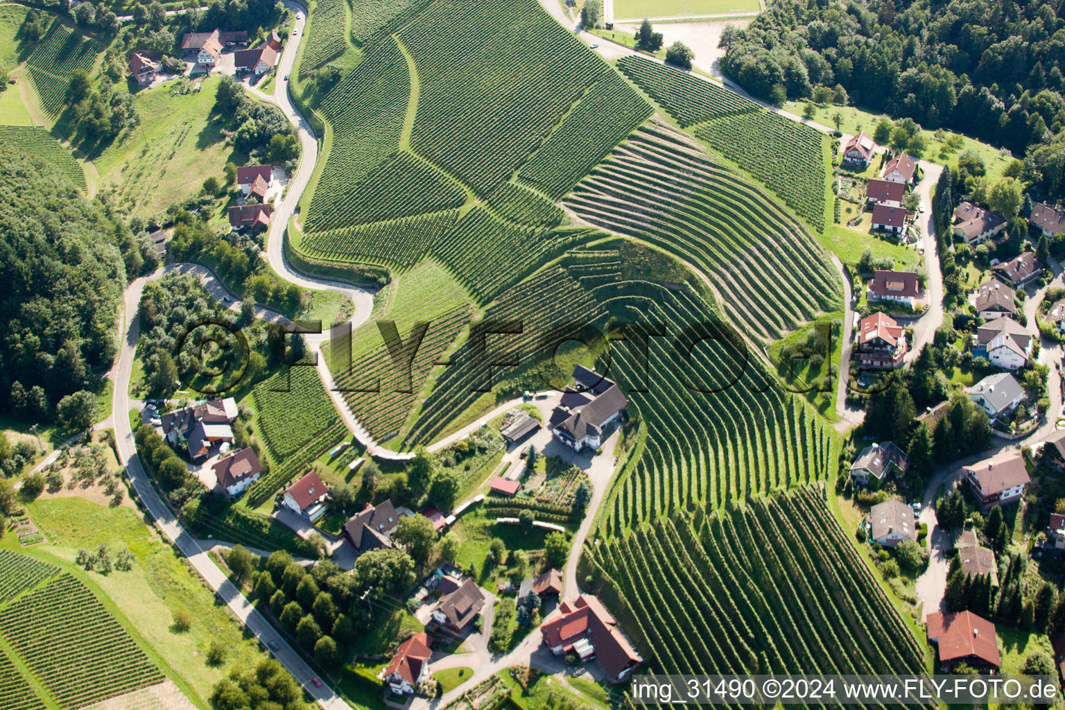 Aerial photograpy of Vineyards at Bernhardshöfe in Kappelrodeck in the state Baden-Wuerttemberg, Germany