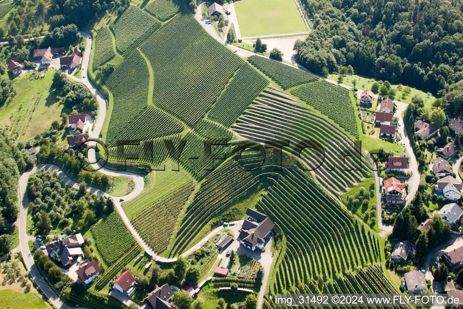 Vineyards near Bernhardshöfe in Kappelrodeck in the state Baden-Wuerttemberg, Germany