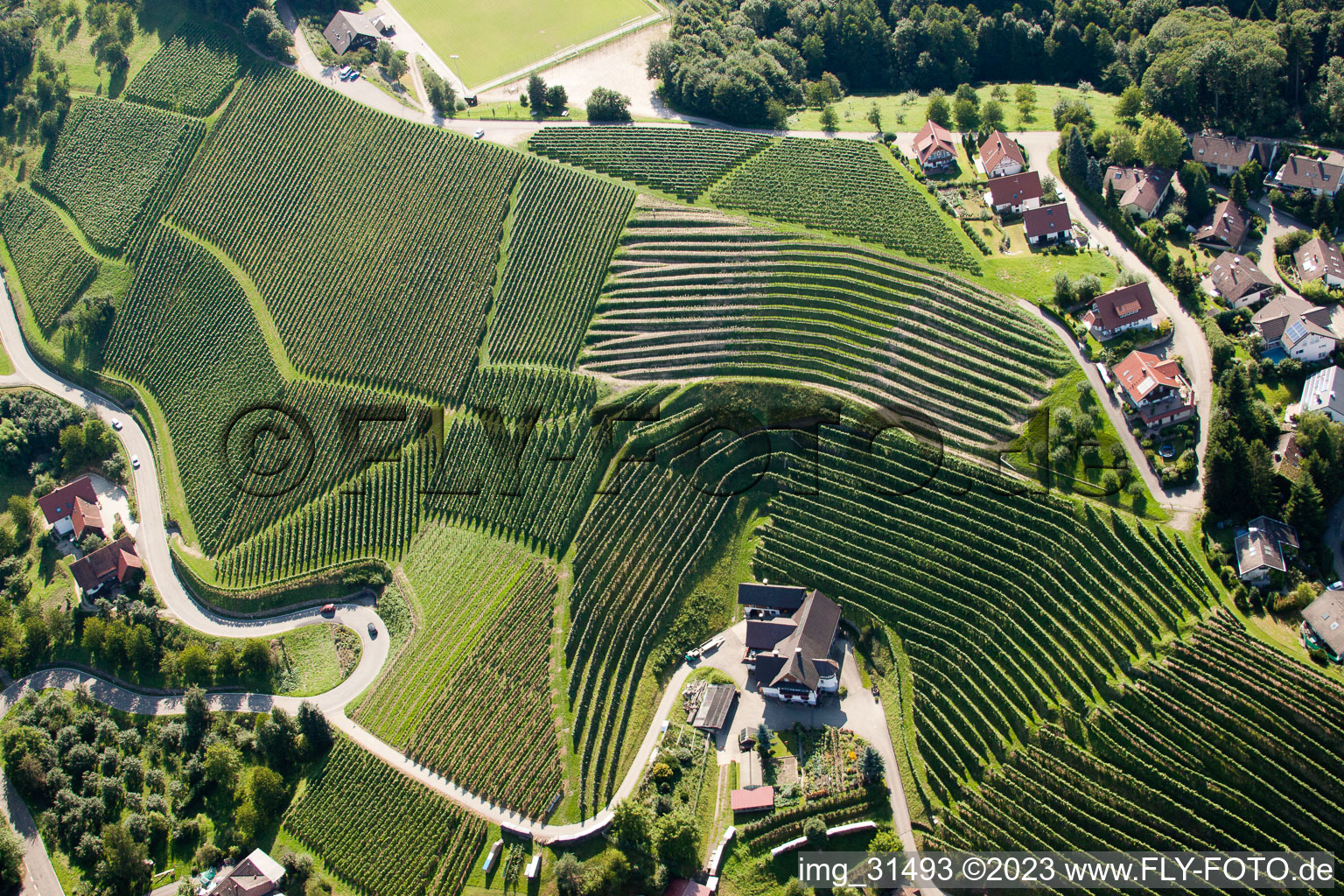 Aerial view of Vineyards near Bernhardshöfe in Kappelrodeck in the state Baden-Wuerttemberg, Germany