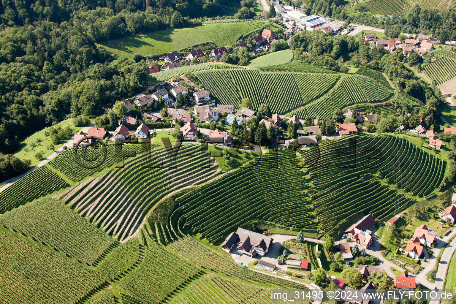 Aerial photograpy of Vineyards at Bernhardshöfe in Kappelrodeck in the state Baden-Wuerttemberg, Germany