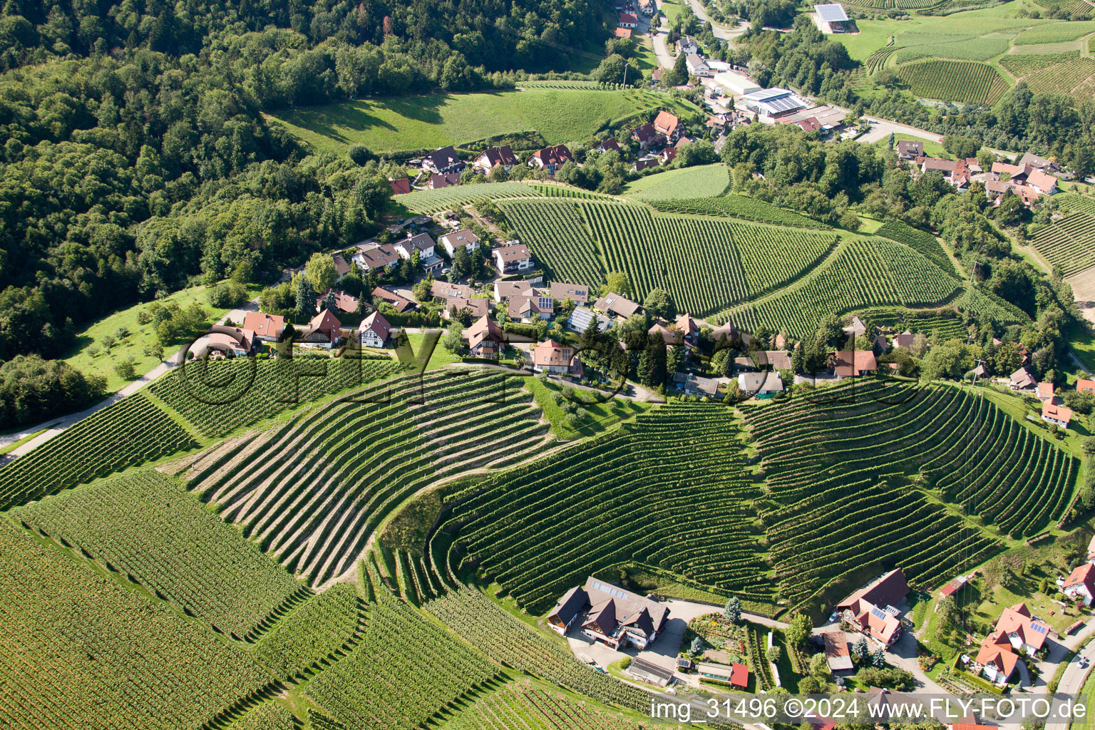 Oblique view of Vineyards at Bernhardshöfe in Kappelrodeck in the state Baden-Wuerttemberg, Germany