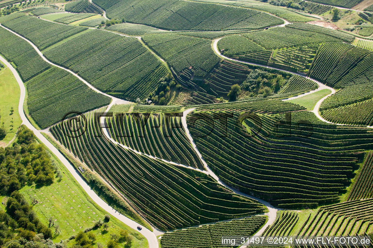 Vineyards at Bernhardshöfe in Kappelrodeck in the state Baden-Wuerttemberg, Germany from above