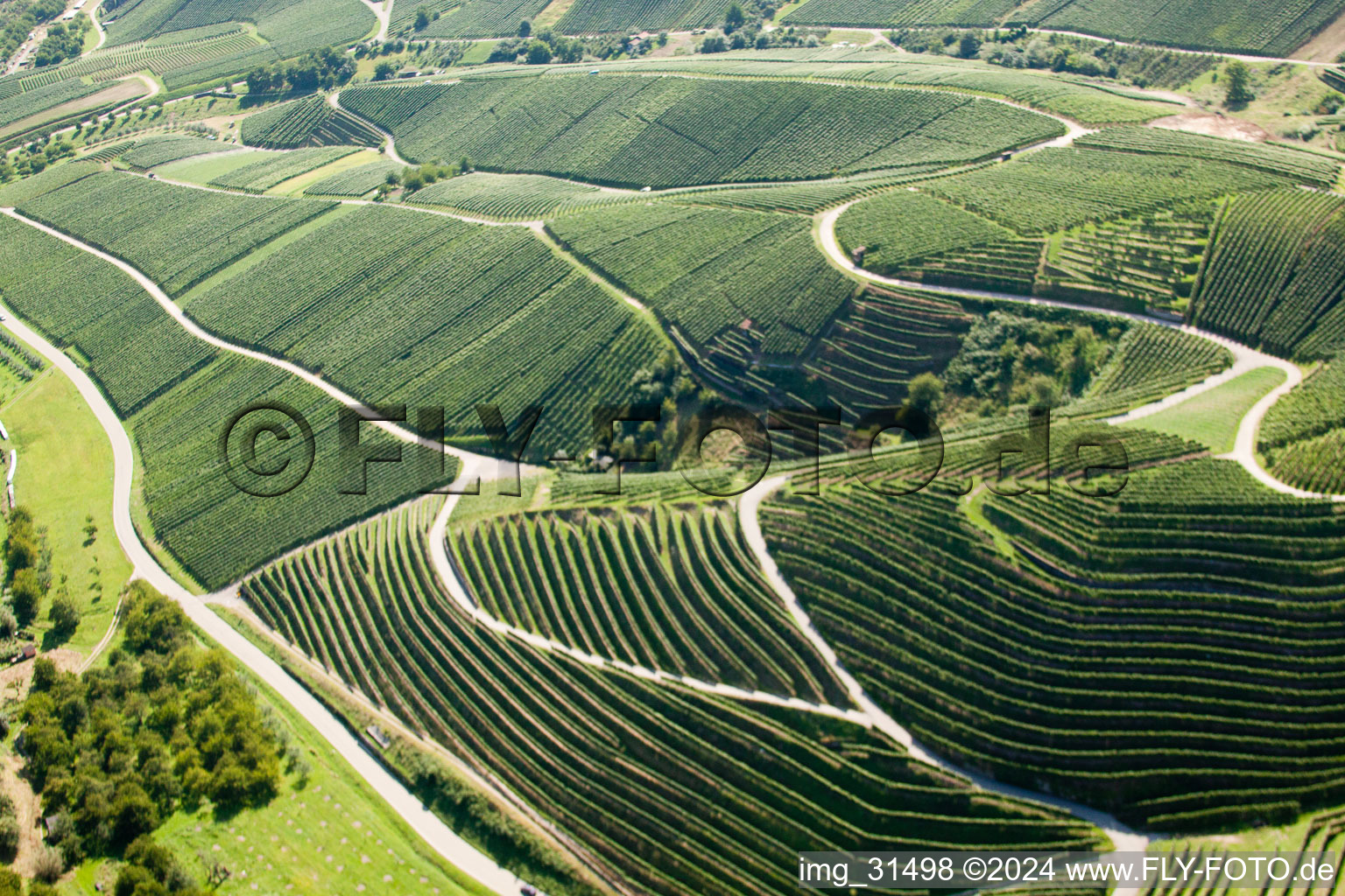 Vineyards at Bernhardshöfe in Kappelrodeck in the state Baden-Wuerttemberg, Germany out of the air