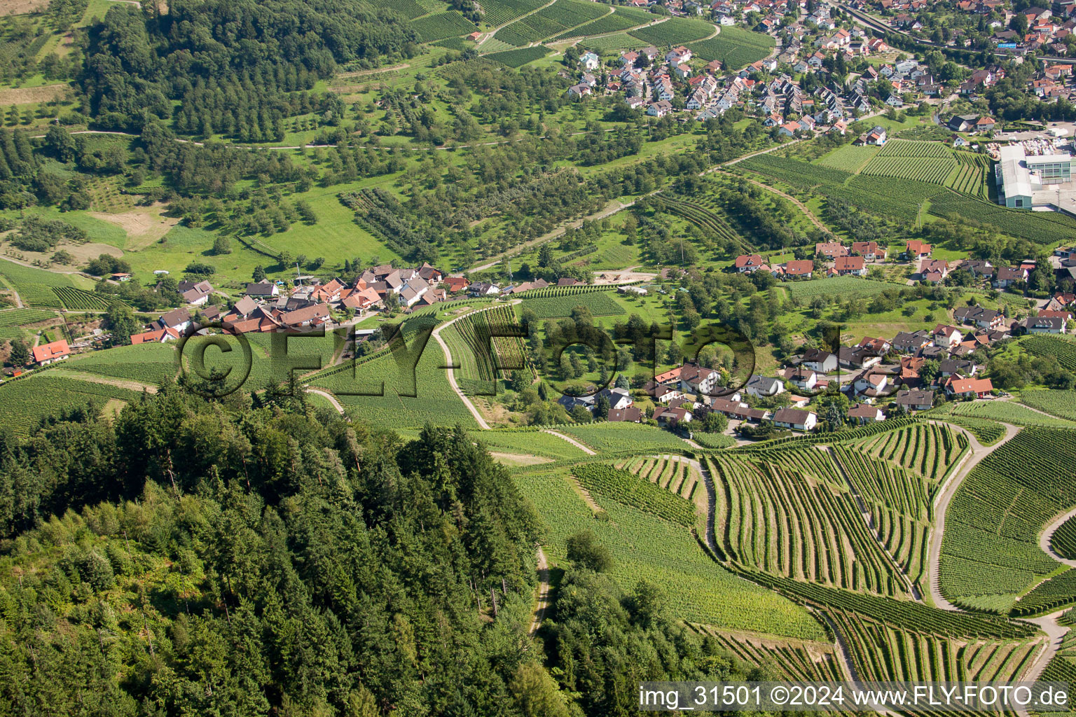 Vineyards at Bernhardshöfe in Kappelrodeck in the state Baden-Wuerttemberg, Germany seen from above