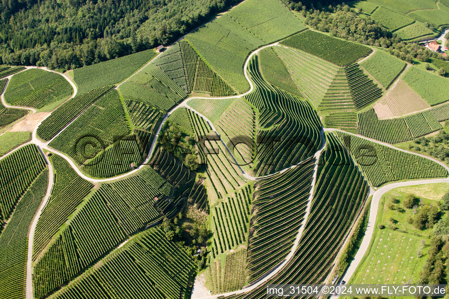 Bird's eye view of Vineyards at Bernhardshöfe in Kappelrodeck in the state Baden-Wuerttemberg, Germany