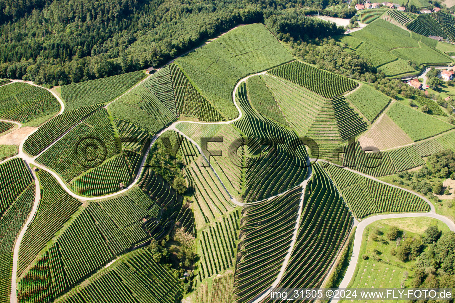 Vineyards at Bernhardshöfe in Kappelrodeck in the state Baden-Wuerttemberg, Germany viewn from the air