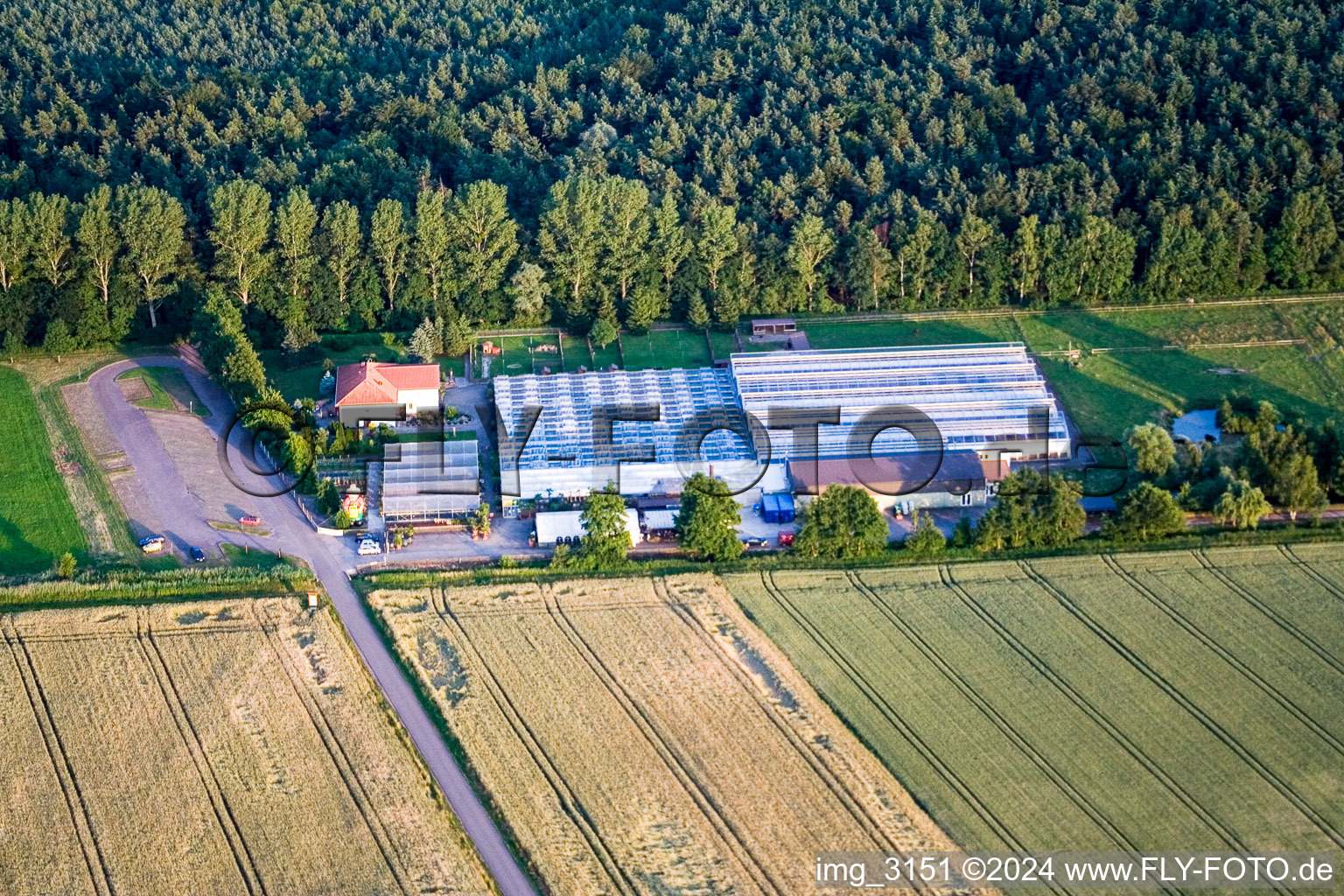 Aerial photograpy of Cactusland in Steinfeld in the state Rhineland-Palatinate, Germany