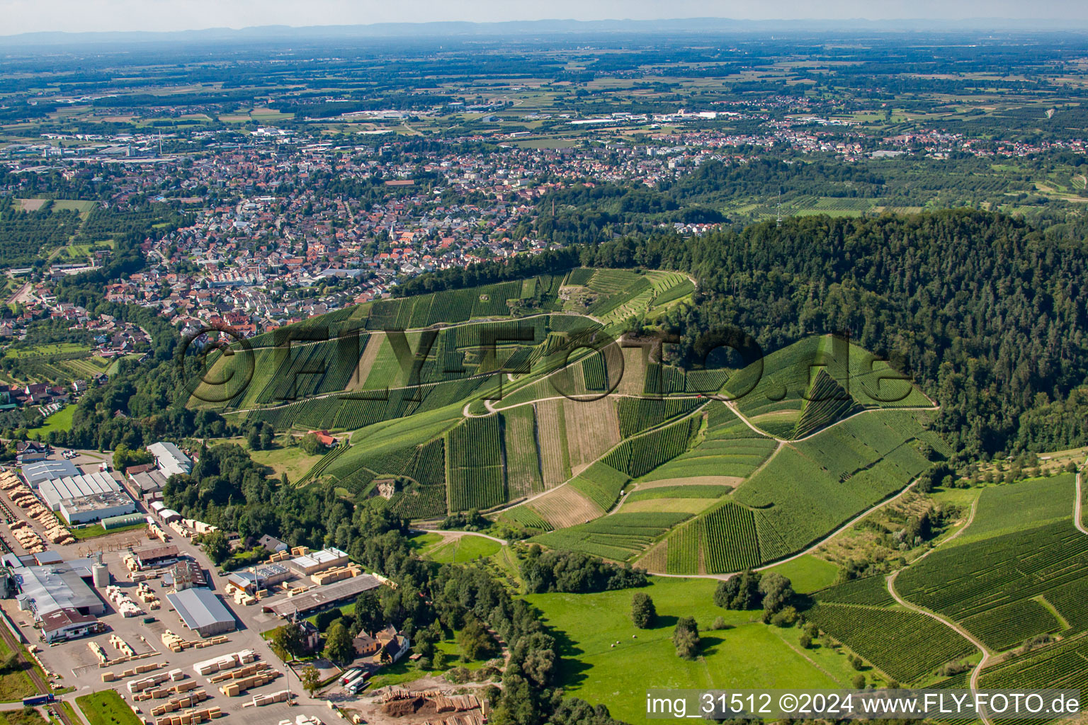 Bee hump in Achern in the state Baden-Wuerttemberg, Germany