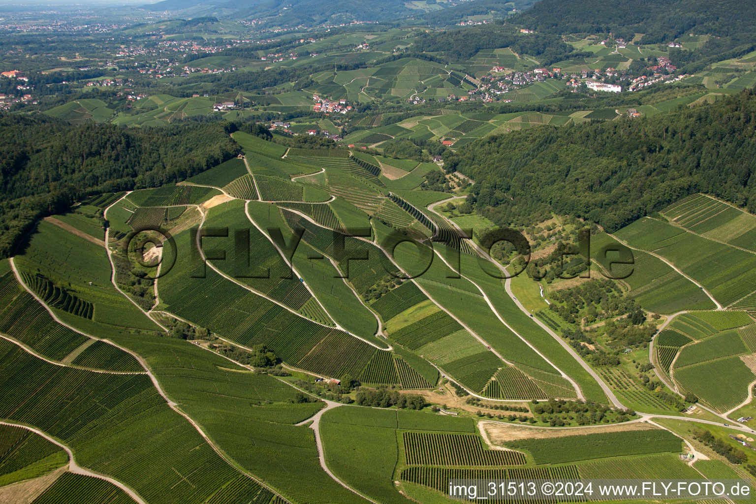 Oblique view of Vineyards at Bernhardshöfe in Kappelrodeck in the state Baden-Wuerttemberg, Germany