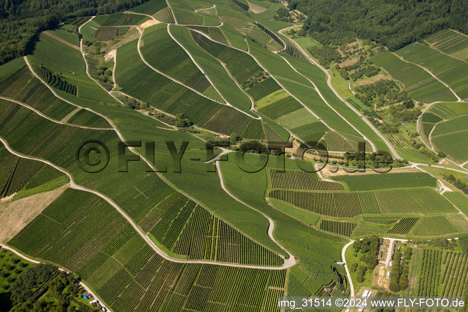 Vineyards at Bernhardshöfe in Kappelrodeck in the state Baden-Wuerttemberg, Germany from above